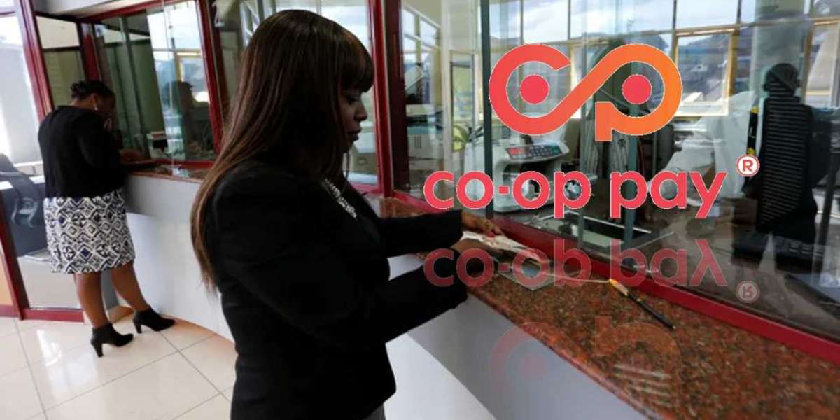 Co-op Pay SACCO (ZW): SACCO Fund Project Plan